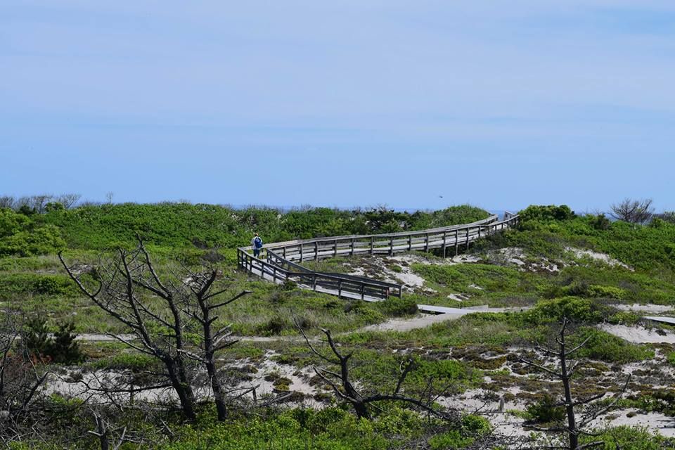 Fire Island