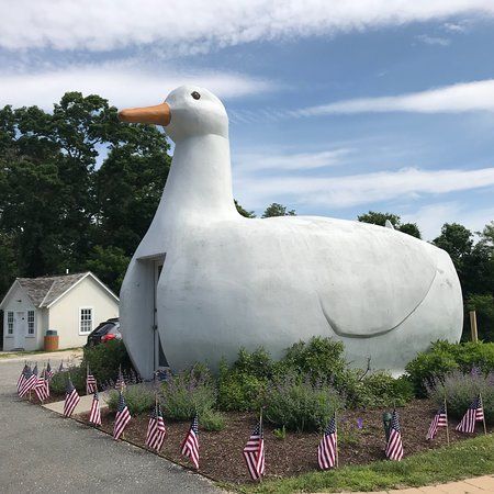 Big Duck