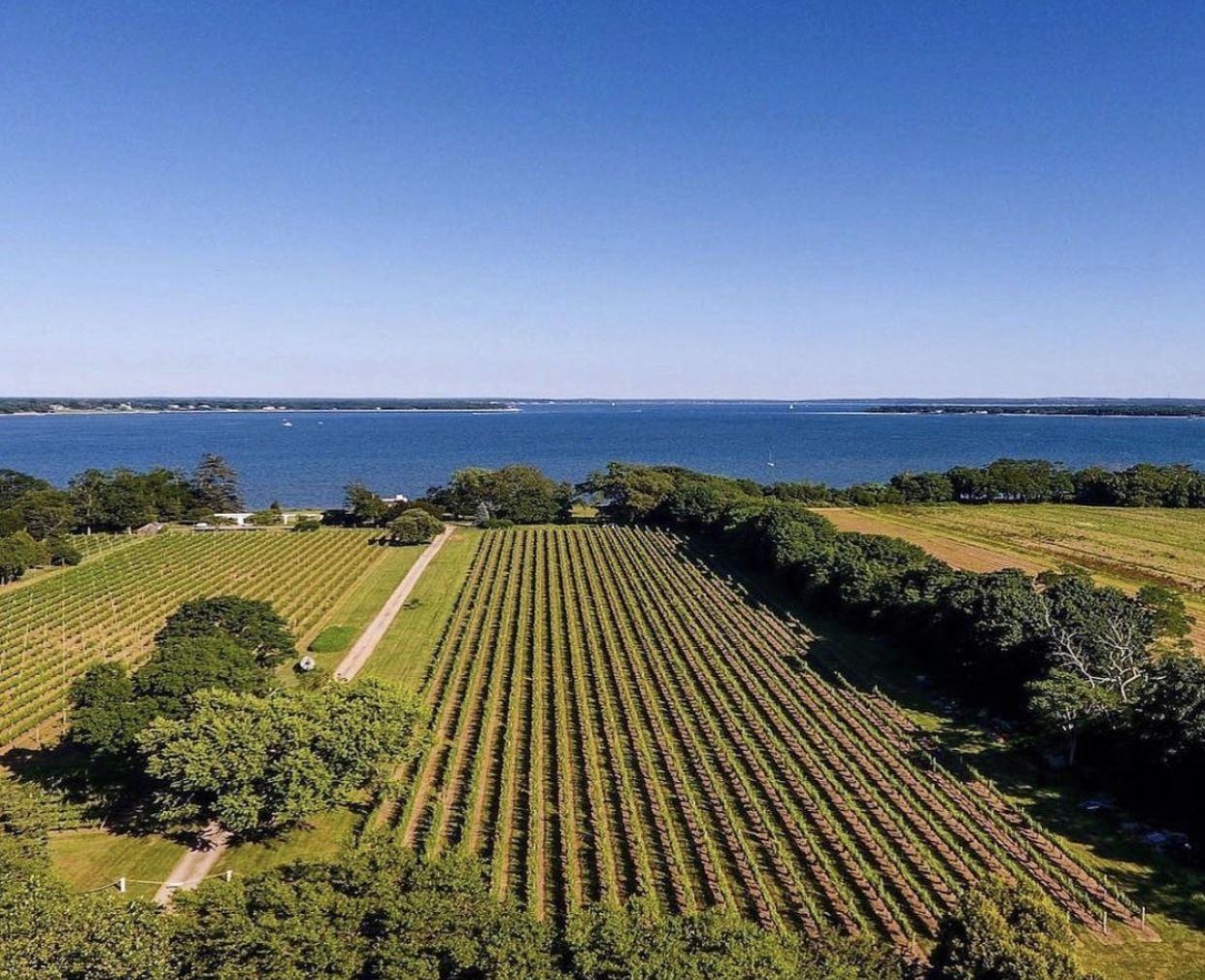 3 Waterfront Vineyards & Wineries on Long Island