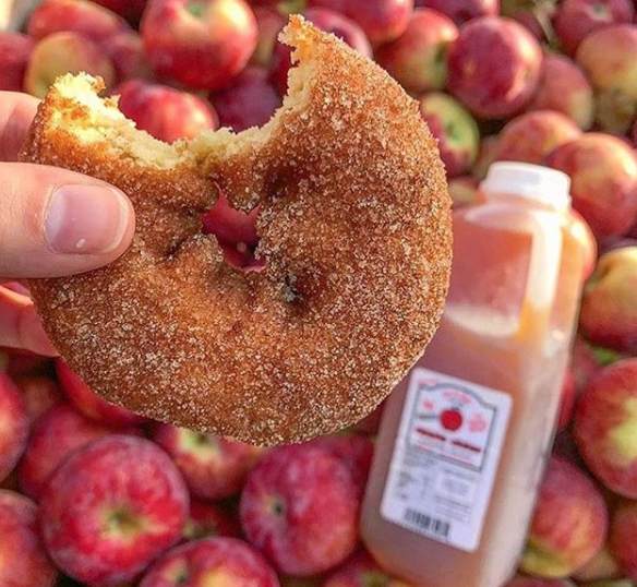 Cider Donuts