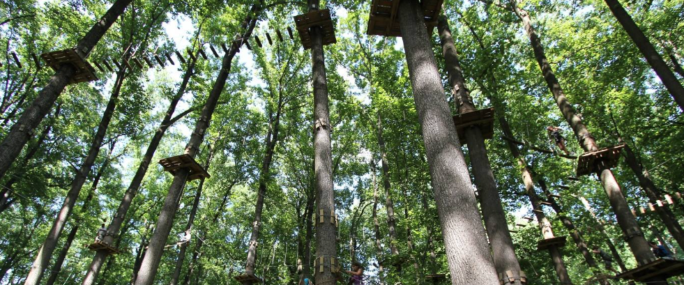 Fun Things To Do On Long Island - Lucky to Live Here Realty