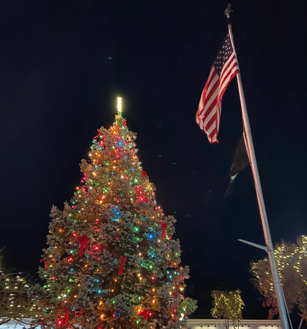 Village of Amityville holiday decor