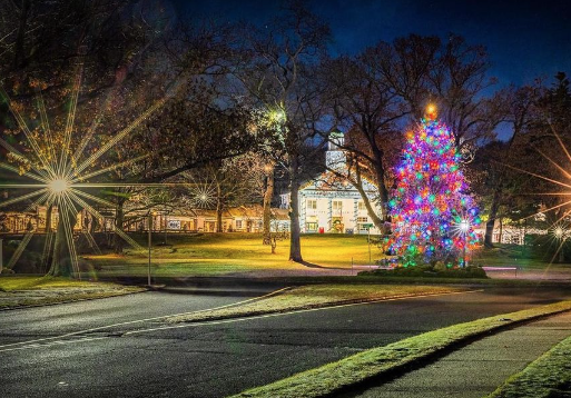 Stony Brook holiday decor