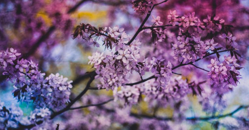 Everything You Absolutely Must Do On Long Island This Weekend