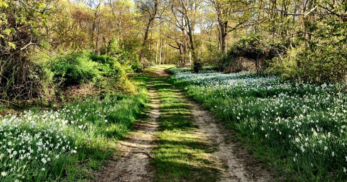 Spring & Summer Hikes, Runs & Walks On Long Island