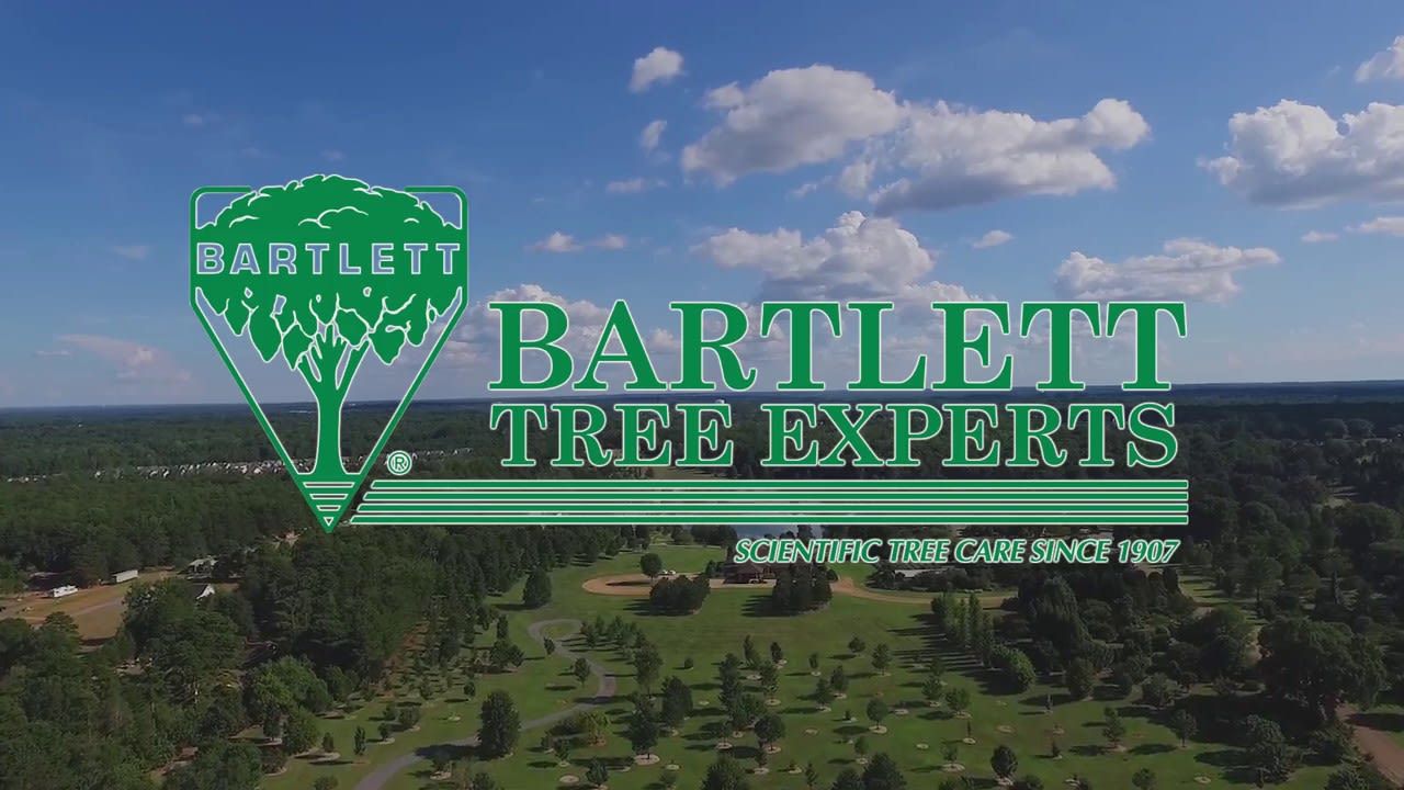 Going Green with Bartlett Tree Experts - Celebrate Arbor Day