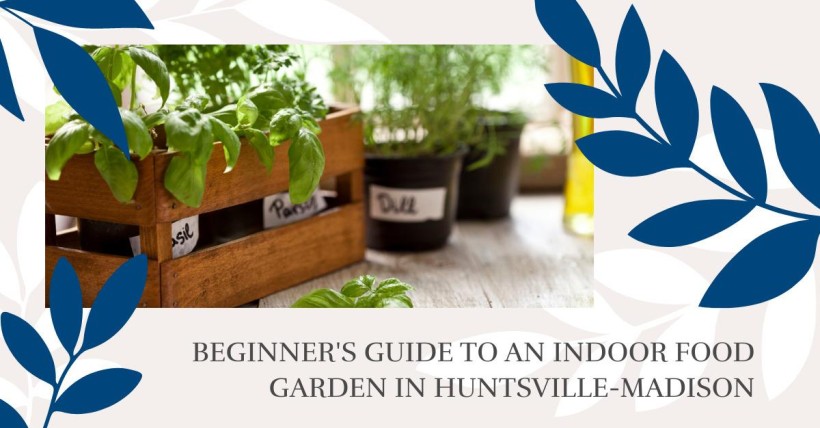 Beginner's Guide to an Indoor Food Garden in Huntsville-Madison