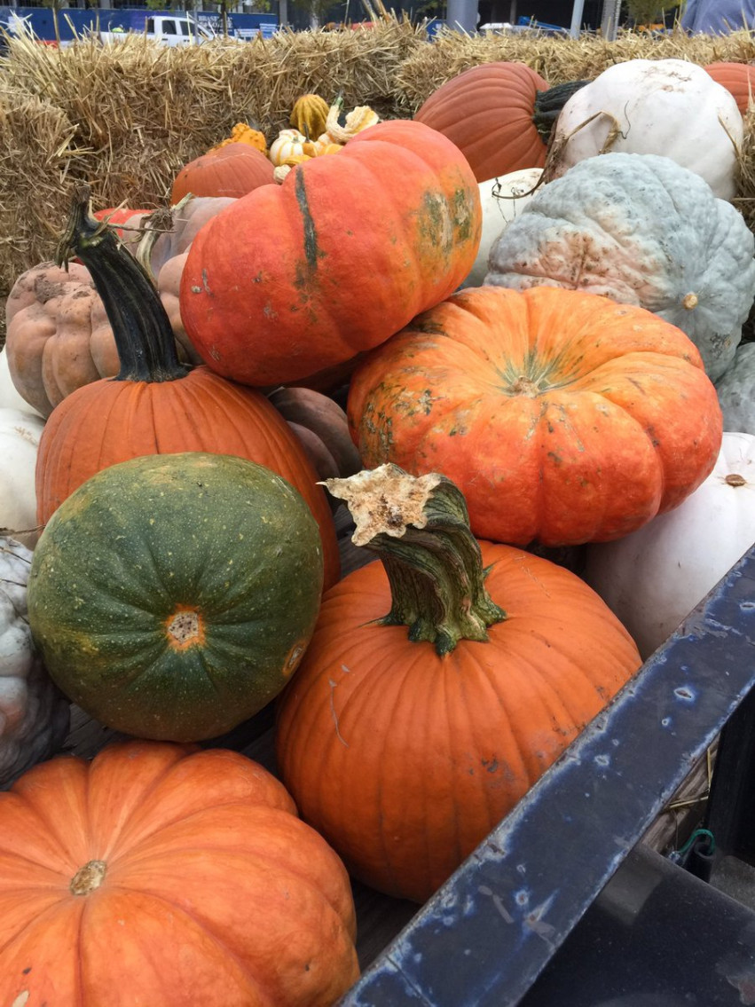 Scissortail Park Fall Market 