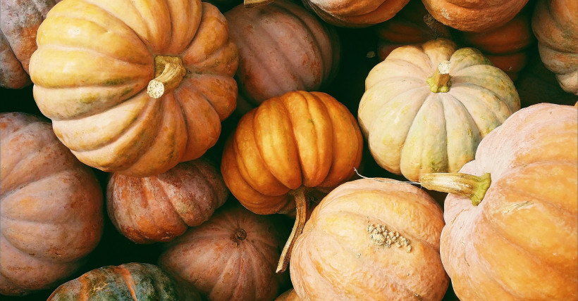Top 10 Things to do in OKC This Fall