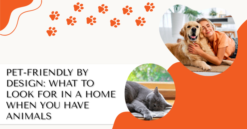 Pet-Friendly by Design: What to Look for in a Home When You Have Animals