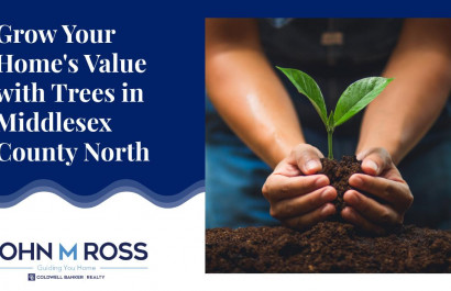Grow Your Home's Value with Trees in Middlesex County North