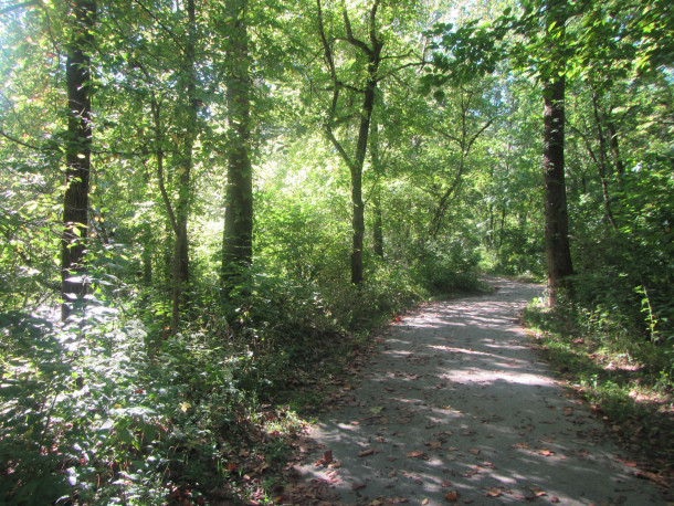 Creekside Nature Park