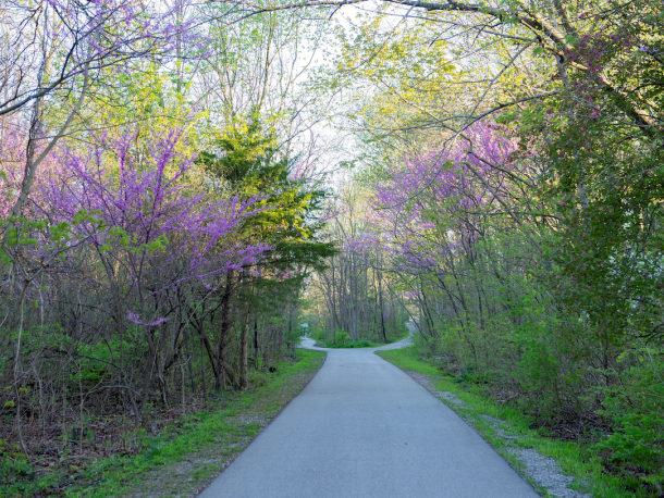 The Big-4 Rail Trail