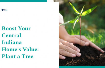 Boost Your Central Indiana Home's Value: Plant a Tree