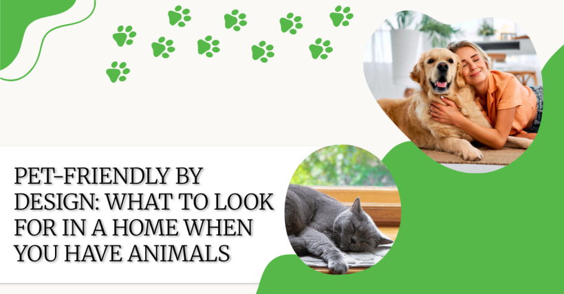 Pet-Friendly by Design: What to Look for in a Home When You Have Animals