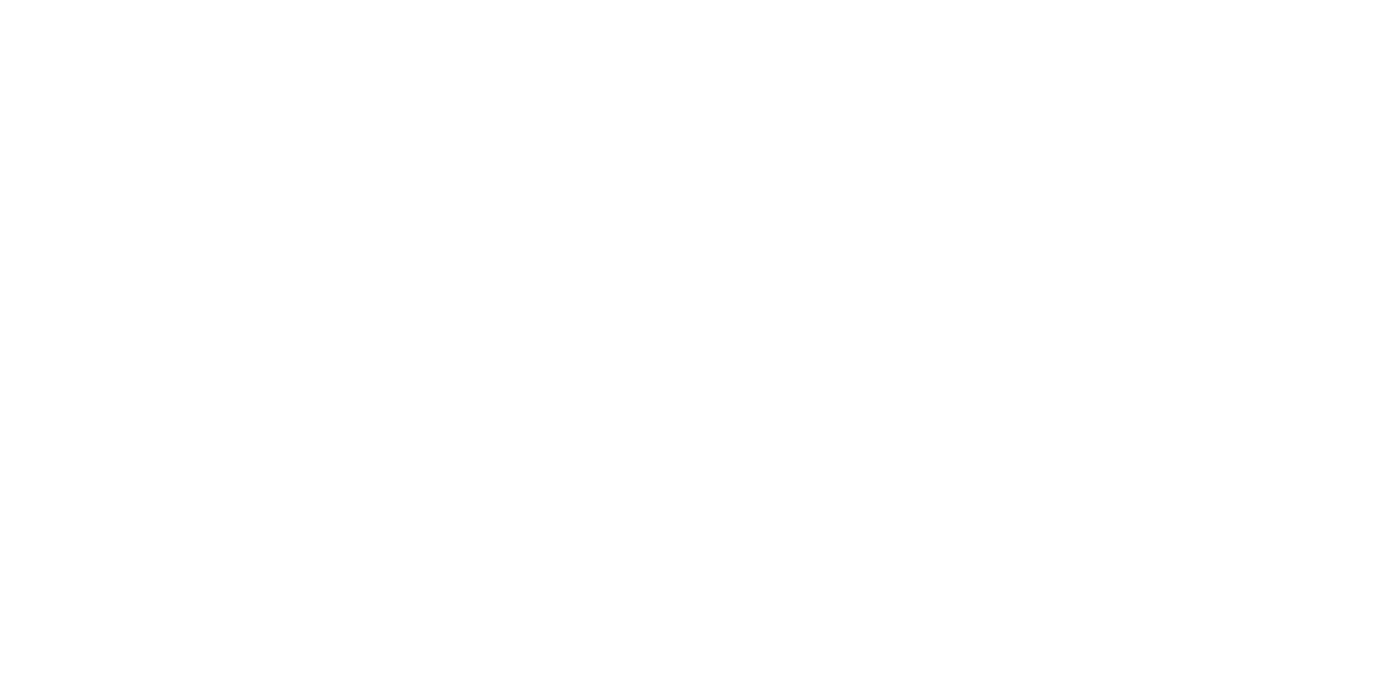 The Synergy Group 