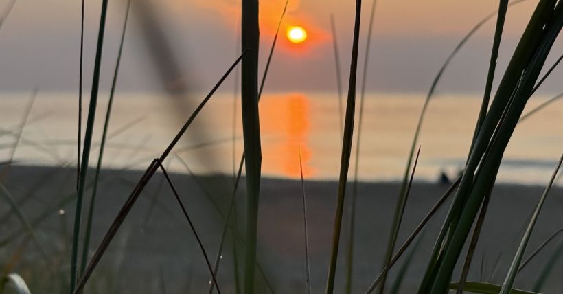 Local Color - Bay Head and Mantoloking, September 2025