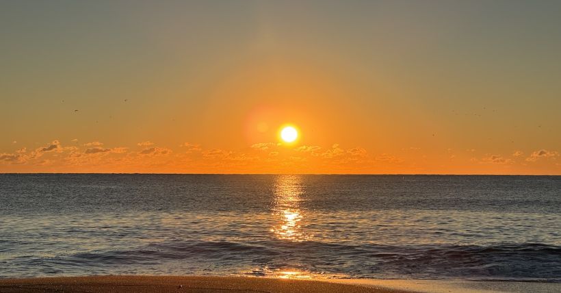 Bay Head & Mantoloking Today™ - November 2025