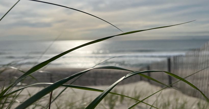 Oceanfront Beach Block Bay Head, NJ Area Guide – 2026