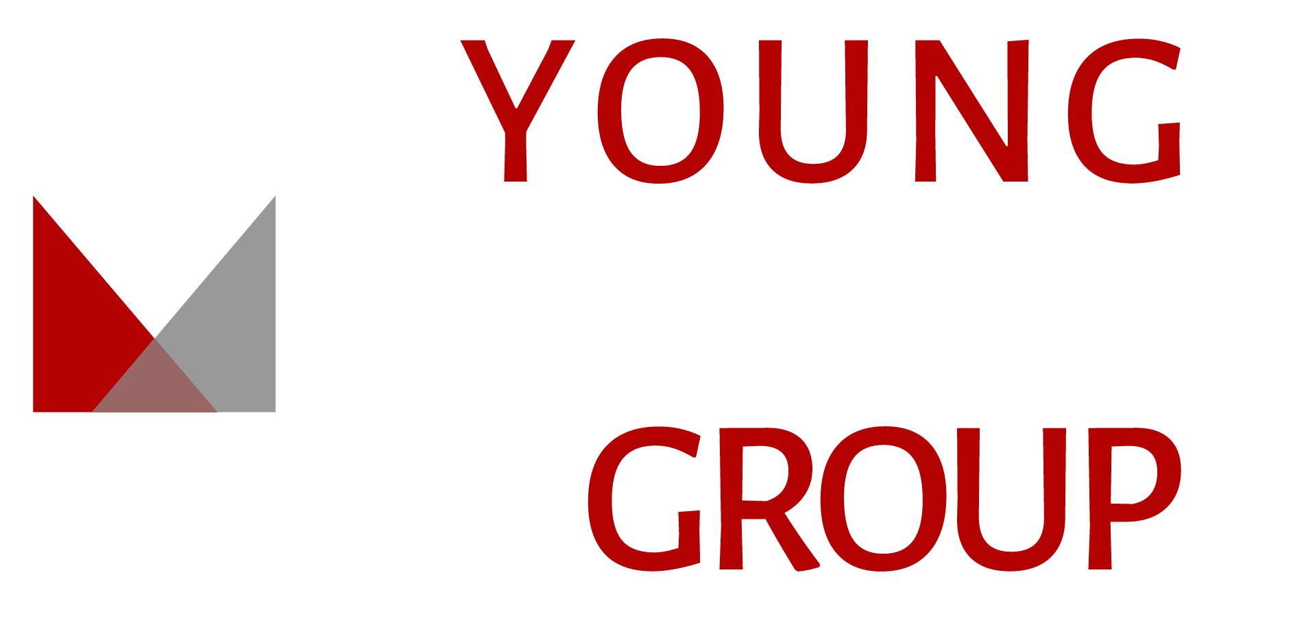Young Marketing Group, Realty Executives