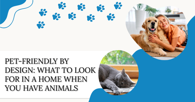 Pet-Friendly by Design: What to Look for in a Home When You Have Animals