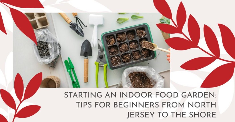 Starting an Indoor Food Garden: Tips for Beginners from North Jersey to The Shore