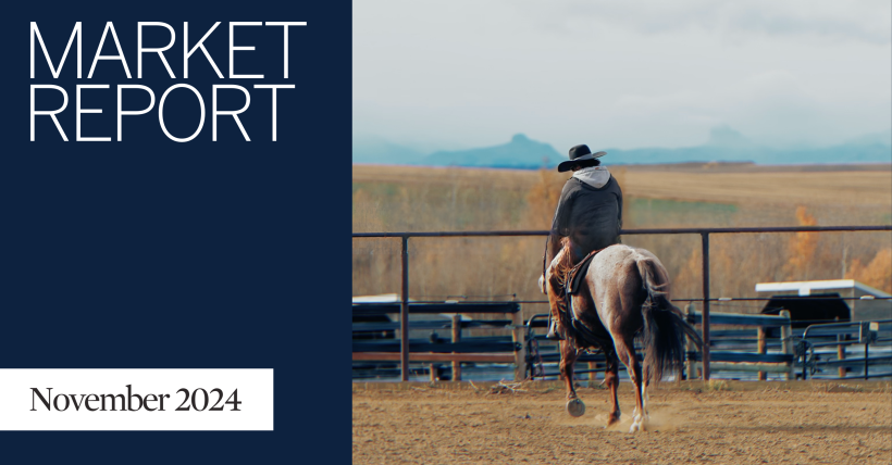 November 2024 Market Report - Calgary Real Estate