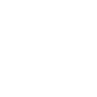 The CCY Team