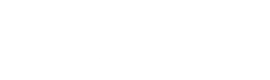 The Veritas Group