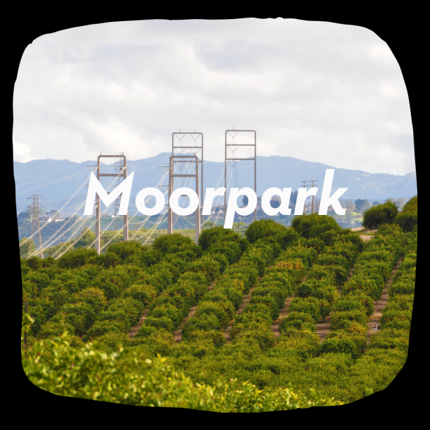 Moorpark Altos Report