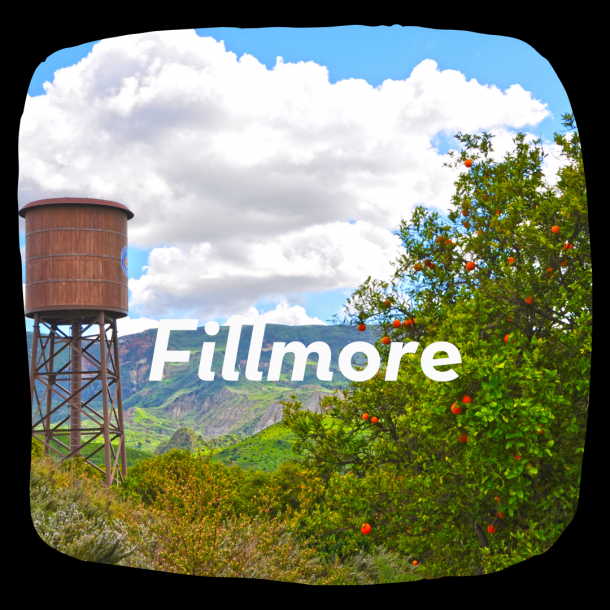 Fillmore Altos Report