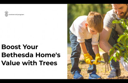 Boost Your Bethesda Home's Value with Trees