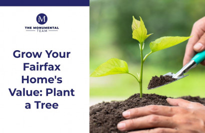 Grow Your Fairfax Home's Value: Plant a Tree