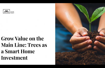Grow Value on the Main Line: Trees as a Smart Home Investment