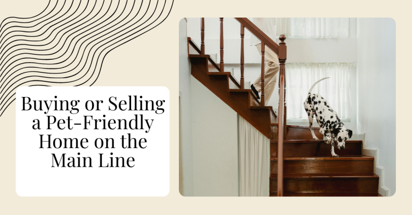 Buying or Selling a Pet-Friendly Home on the Main Line