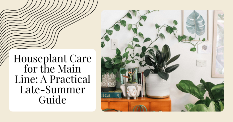 Houseplant Care for the Main Line: A Practical Late-Summer Guide