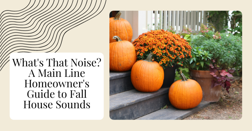 What's That Noise? A Main Line Homeowner's Guide to Fall House Sounds