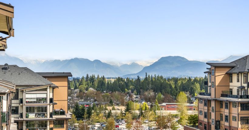 Langley Market Shift: Local Insights | Royal LePage
