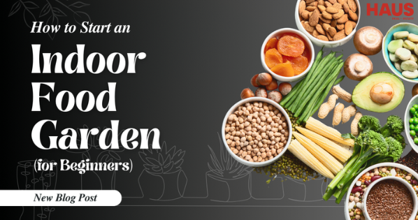 How to Start an Indoor Food Garden (for Beginners)