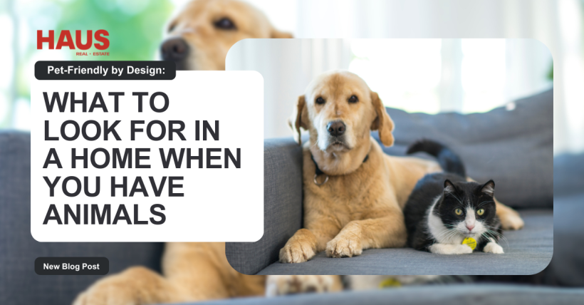 Pet-Friendly by Design: What to Look for in a Home When You Have Animals