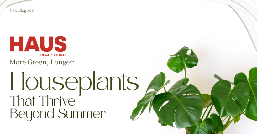 More Green, Longer: Houseplants That Thrive Beyond Summer
