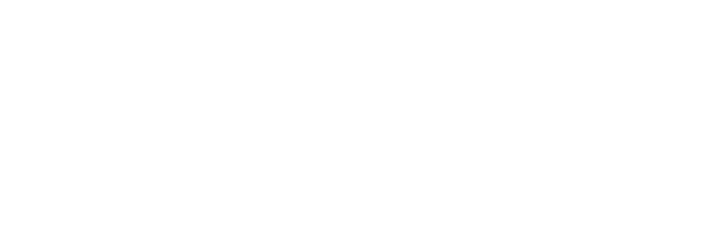 WALTER STAUSS | License #01105052