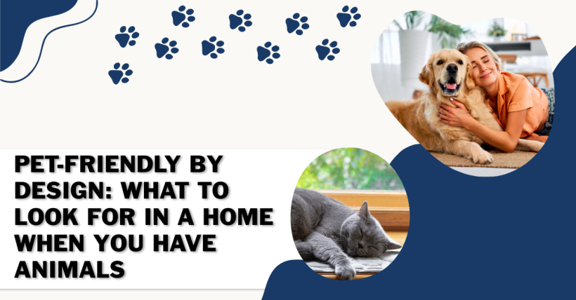 Pet-Friendly by Design: What to Look for in a Home When You Have Animals