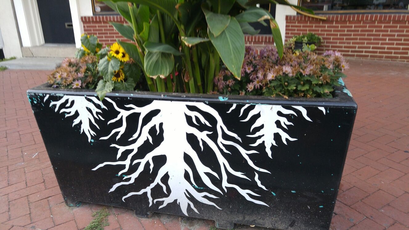 Planter on Market Street in West Chester