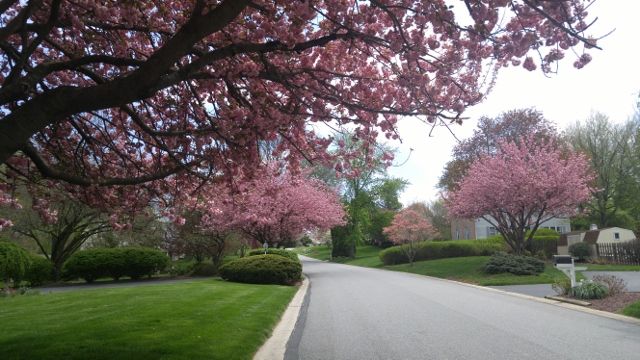 Marydell Farms, East Goshen Township