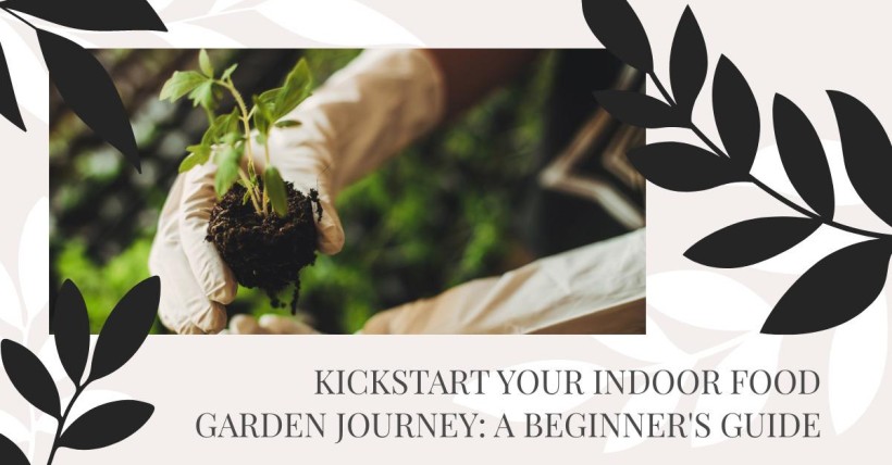 Kickstart Your Indoor Food Garden Journey: A Beginner's Guide