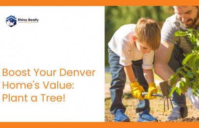 Boost Your Denver Home's Value: Plant a Tree!
