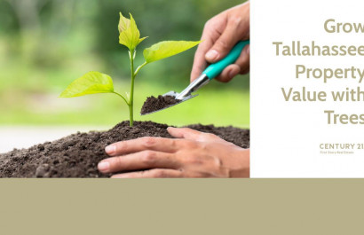 Grow Tallahassee Property Value with Trees