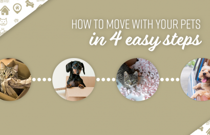 Take away the stress of moving with your pets.
