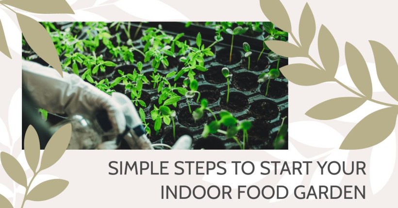 Simple Steps to Start Your Indoor Food Garden